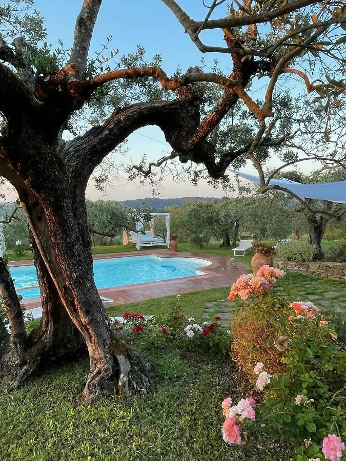 Tognazzi Casa Vacanze - Villa San Martino Villa del Monte