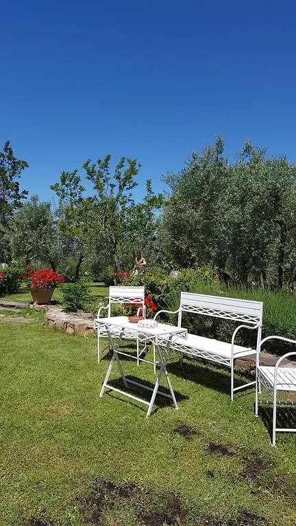 Tognazzi Casa Vacanze - Villa San Martino Villa del Monte Italy